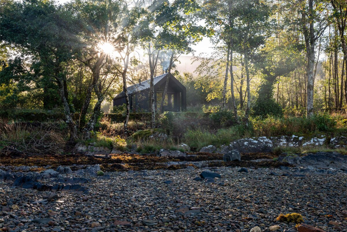 A dark timber cabin glows through the woodland, low sun catching the leaves around it.
